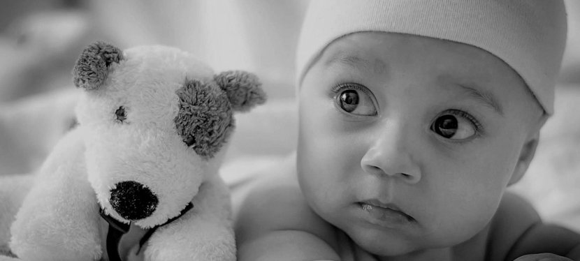 Special week: complimentary exam and&nbsp;x-rays